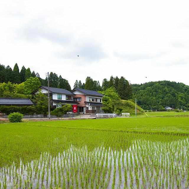 【輪島塗】楽 KOKEMUSU 漆スクリーン 山脈 C - Image 7